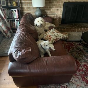 Meet your Posher, Louise